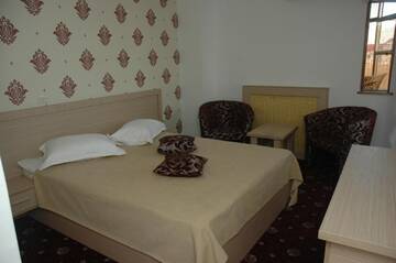 Фото номера Стандартный двухместный номер с 1 кроватью Отель Hotel Dambovita г. Тырговиште 6