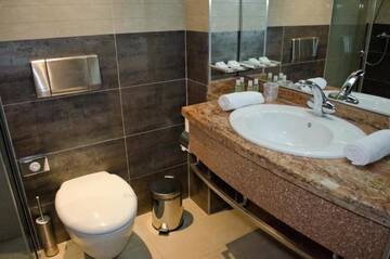 Фото номера Двухместный номер с 1 кроватью Отель Hotel Tolea г. Тырговиште 9